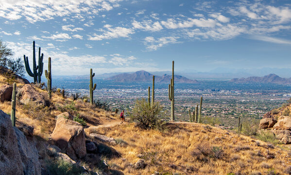 Hiker Running On The Pinnacle Peak Desert Trail In Scottsdale, AZ.