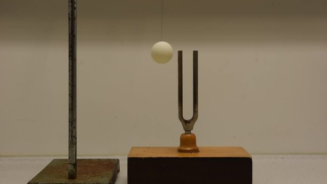 A tuning fork is struck, causing a table tennis ball that is hung against it to vibrate violently
