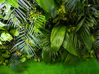 decoration background wall of green plants leaves tropical