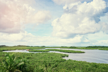 Fototapeta na wymiar Beautiful landscape with green mangroves sea lagoon, National Park, Siargao Island, Philippines.