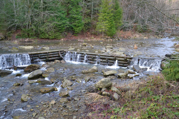 small river in the forest