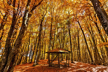 Kiosk in the forest of Mamali, in Antichasia mountains, close to  Verdikoussia village, Larissa, Thessaly, Greece.