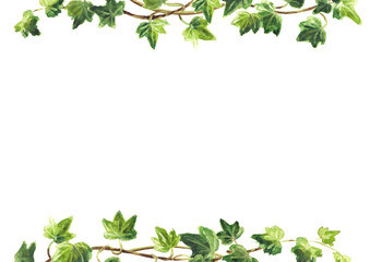 Ivy branch with green leaves  frame , Hand drawn watercolor  illustration isolated on white background