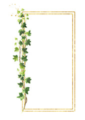 Ivy branch with green leaves frame , Hand drawn watercolor illustration isolated on white background