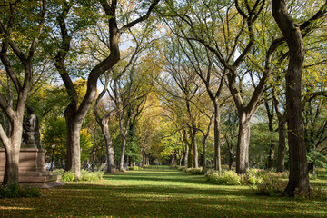 garden landscape in autumn, inside central park, New York city 