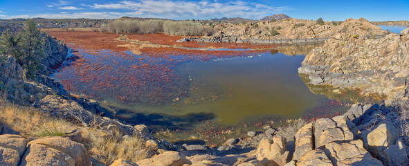 Red Marsh of Willow Lake AZ