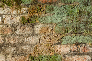 Old brick wall with mosses and lichen