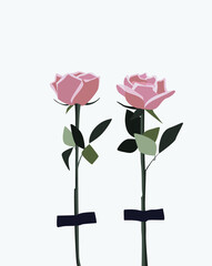 Vector flat image of two roses. Flora illustration. Original installation with roses fixed on scotch tape. Design for postcards, posters, avatars, templates, textiles.