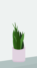 Vector flat image of a plant in a gray pot. Illustration in soothing colors. Image of flora. Design for posters, cards, textiles, templates, cartoons.