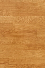 Obraz premium Natural wood texture for background. Copy space, banner