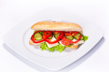 Sandwich plate made by a restaurant chef. Composition with bread pepper cucumbers cheese and salad.