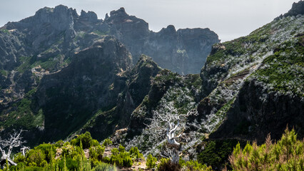 Madeira - Pico Ruivo