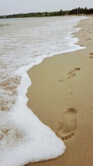 footprints in the sand