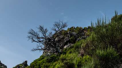 Madeira - Pico Ruivo