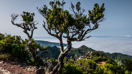 Madeira - Pico Ruivo