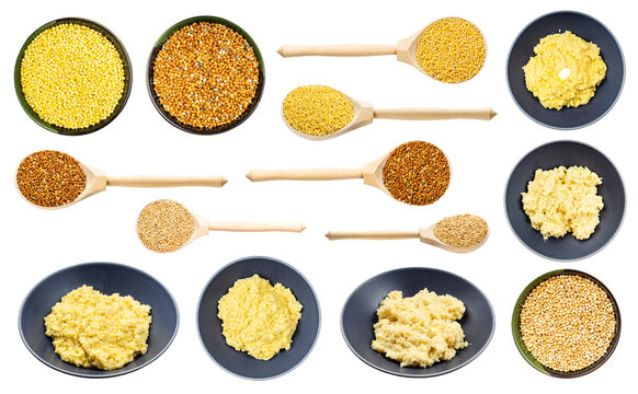set of boiled and raw proso millet grains isolated