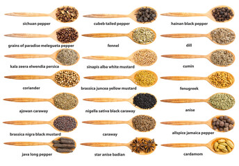 op view of wood spoon with various flavoring seeds