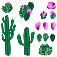 Set of vector illustrations of cactuses,succulents, flowers and compositions.Wild west botanical elements,prairie plants.For stickers,prints,decoration and design