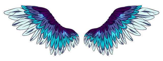 Beautiful magic glittery violet blue angel wings, color vector illustration
