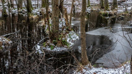 Das Briesetal im Winter