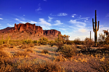Arizona desert view with Superstitious mountains and Saguaro cactus at sunset, Phoenix, USA - obrazy, fototapety, plakaty
