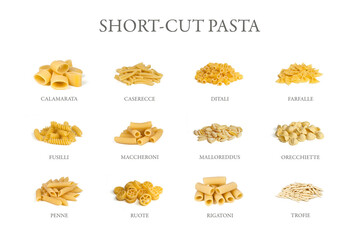12 different short cut italian pasta shapes with names