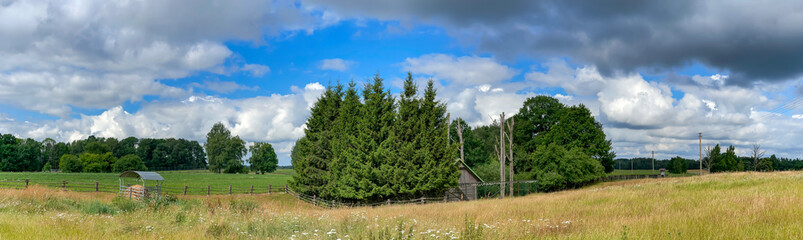 Fototapeta na wymiar Panorama of beautiful Latvian rural landscape with flowering meadows in warm summer day with lush clouds on the sky.