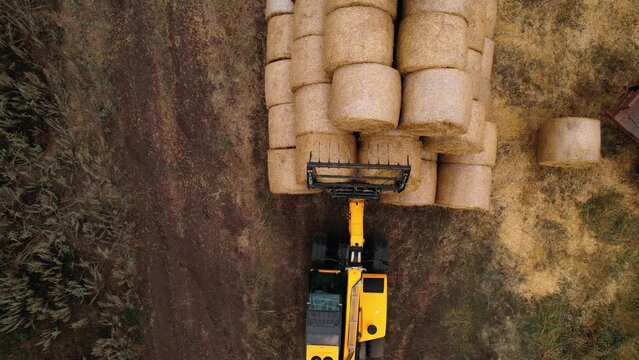 Farmer stacking round bales of straw from with a front end loader. Store hay at farm. Hay rolls as Forage feed for beef and dairy cattle, sheep and horses. Making hay in autumn season.