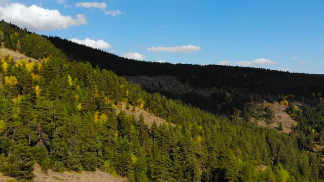 Autumn footage in the forests on the slopes of the mountains white clouds and blue sky in the background. The city of Bolu is in Turkey. drone video