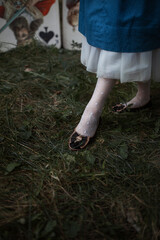 Алиса в стране чудес, Чаепитие, Зазеркалье, Чеширский...