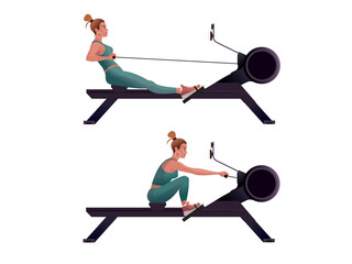 Girls train on a rowing machines. Isolated Vector illustration for landing page mockup flat design or advertising banner.