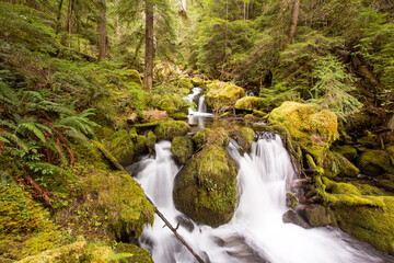 waterfall in the forest