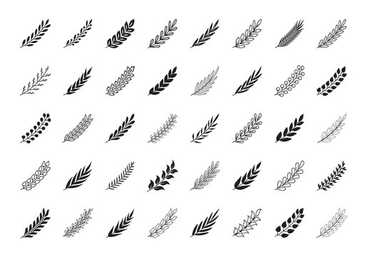 Set of branches with leaves. Collection of hand drawing tree branches. Herbs, flowers and plants elements. Design elements for laurels wreaths, swirls, twigs and flower ornaments.