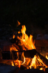 Campfire in the autumn evening