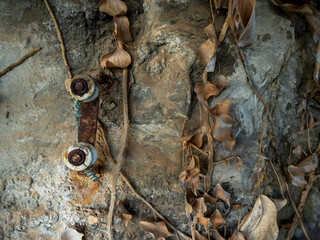 imagen detalle soportes cables eléctricos oxidado y con plantas secas