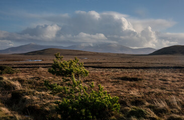 Bogland at the edge of Wild Nephin National Park in Ireland. It is located on the western seaboard...