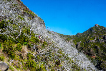 Madeira - From Pico do Arieiro to Pico Ruivo 