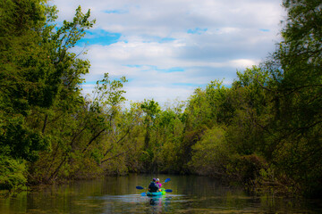Kayakers paddle in the waters of Lake Griffin state park in Florida