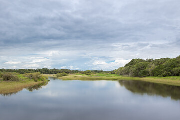 Obraz na płótnie Canvas Myaka River state park in Florida