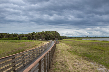 Fototapeta na wymiar Boardwalk in Myaka River state park in Florida