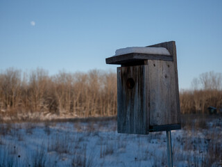 bird house on a pole in a snow-covered grassy wooded area