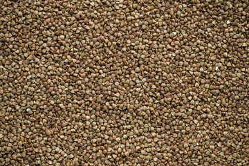 Pebble-like background made from buckwheat