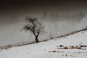 Snow covered mountain village