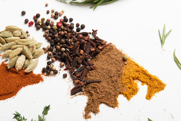 Spice world map. Dried spices. Pepper, turmeric, ginger, cloves