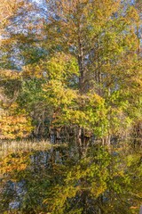 Fototapeta premium creative