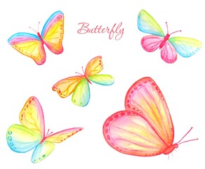 Set of watercolor multicolored butterflies. Colorful butterflies on white bcakground.