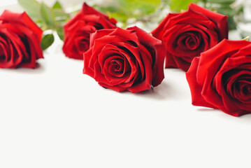 Bouquet of roses. Red roses.