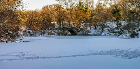 Cercles muraux Pont de Gapstow Gapstow Bridge in Central Park after snow storm