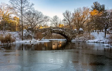Photo sur Plexiglas Pont de Gapstow Gapstow Bridge dans Central Park après une tempête de neige