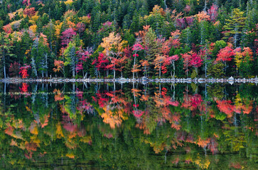 Fall Reflections, Acadia National Park, Maine